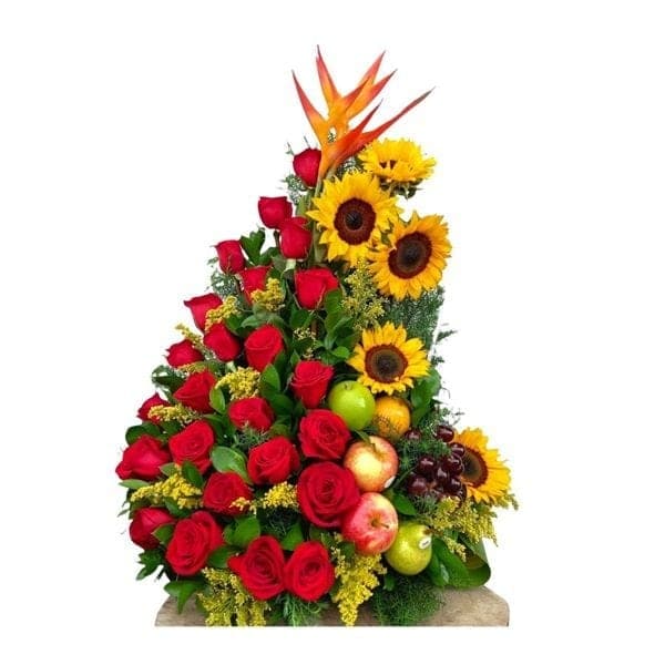 Frutos del sol