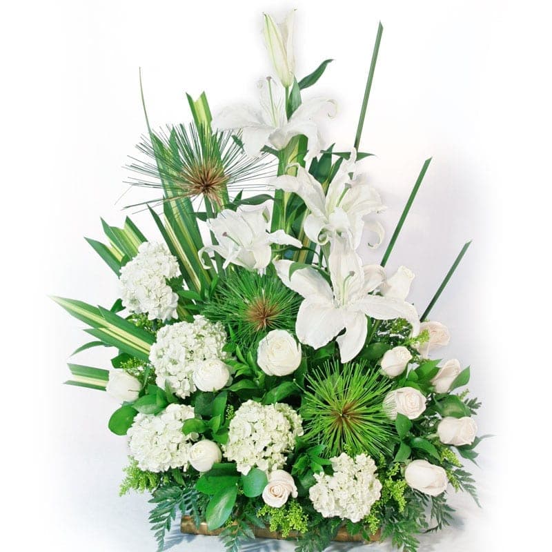 Ramo funebre alma